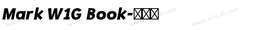 Mark W1G Book字体转换